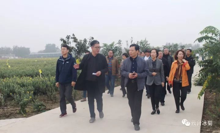 云臺(tái)冰菊基地發(fā)生了什么？一批批領(lǐng)導(dǎo)專家團(tuán)隊(duì)前來(lái)！