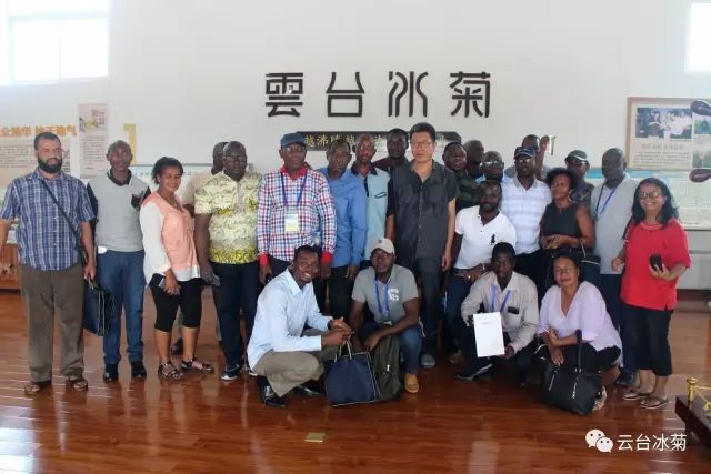 目測(cè)這朵菊花要火，國(guó)外專家為它頻頻而來(lái)······